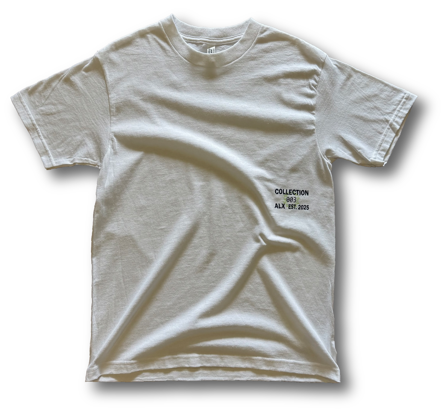 BLUE SKULL T